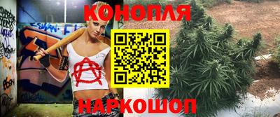 сатива Конаково